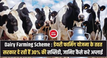 Dairy Farming Scheme : डेयरी फार्मिंग योजना के तहत सरकार दे रही हैं 30% की सब्सिडी, जानिए कैसे करे अप्लाई |