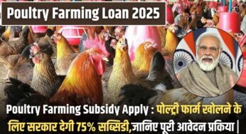 Poultry Farming Subsidy Apply : पोल्ट्री फार्म खोलने के लिए सरकार देगी 75% सब्सिडी,जानिए पूरी आवेदन प्रकिया |