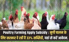 Poultry Farming Apply Subsidy