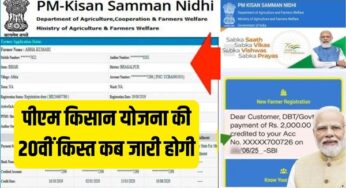 PMKSY 20th Kisht Update: पीएम किसान योजना की 20वीं किस्त कब जारी होगी? यहां जानें कैसे करें स्टेटस चेक |