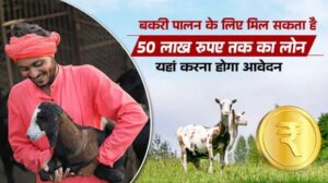 Goat Farming Loan Scheme 2025